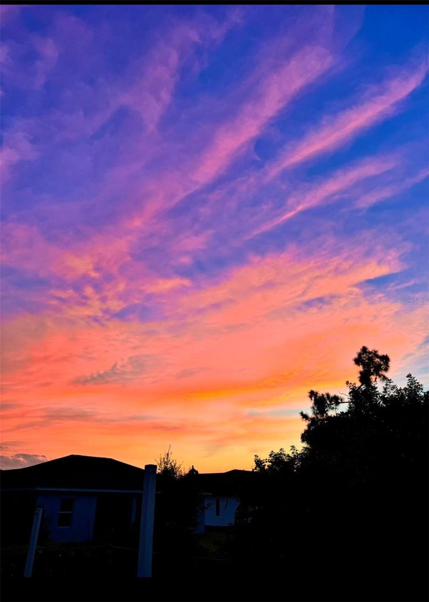 COLORADE AVE — photo 4