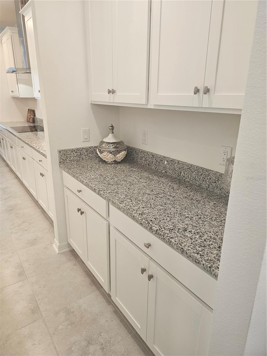 2450 SUNNY PEBBLE LOOP — photo 13