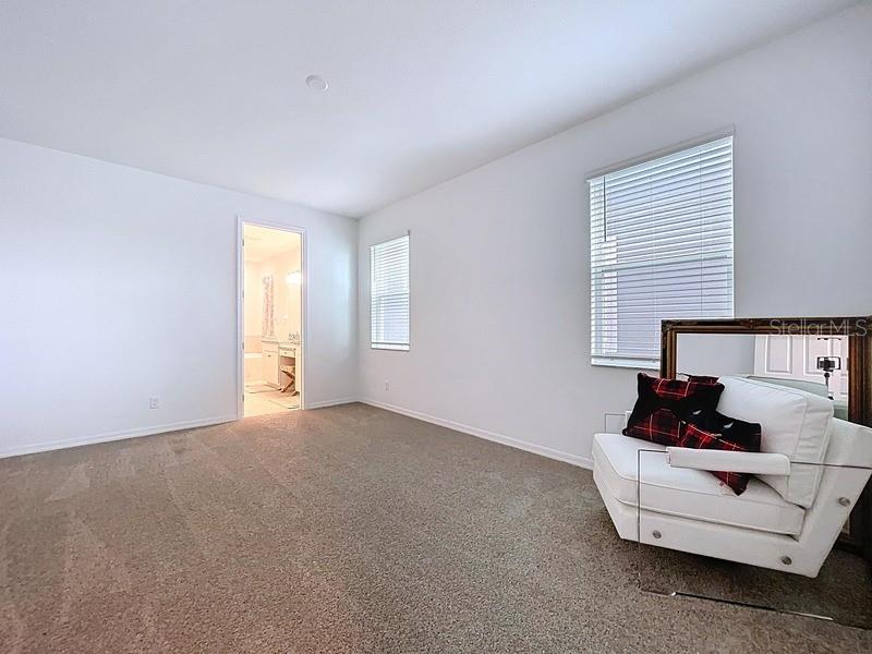 2450 SUNNY PEBBLE LOOP — photo 18