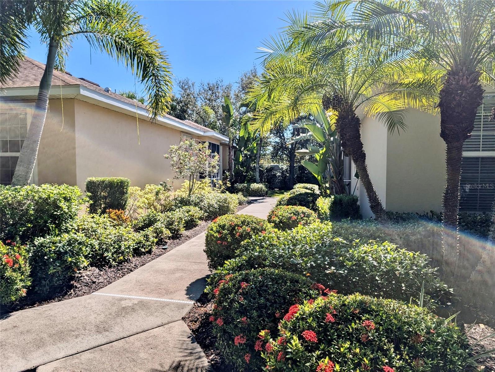 2585 CORTENOVA CT — photo 47