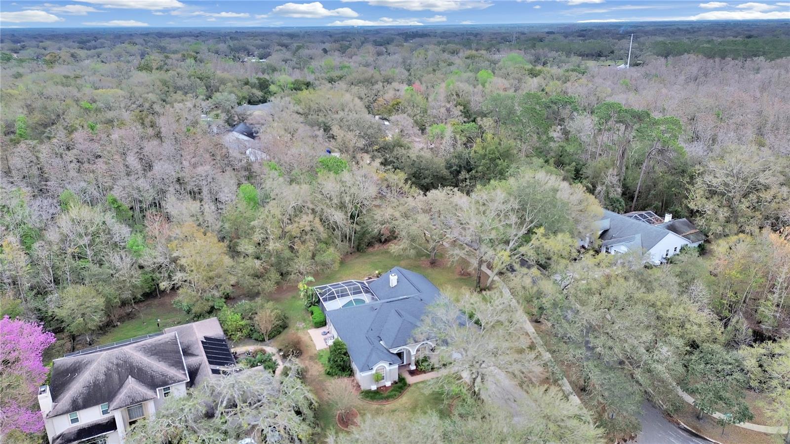 17307 OAK LEDGE DR — photo 45