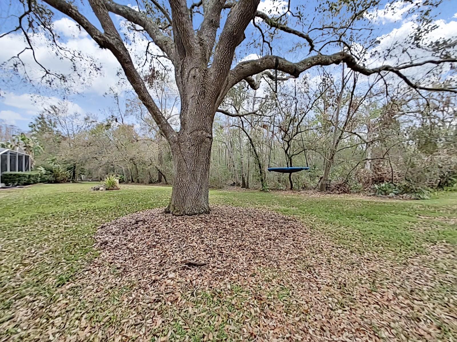 17307 OAK LEDGE DR — photo 54