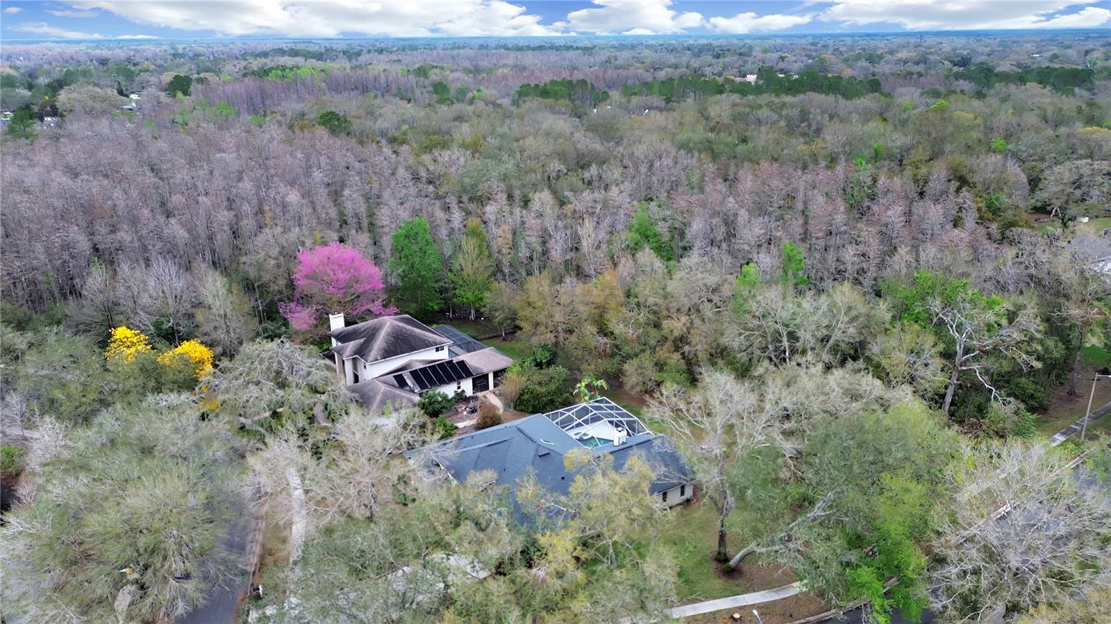 17307 OAK LEDGE DR — photo 44