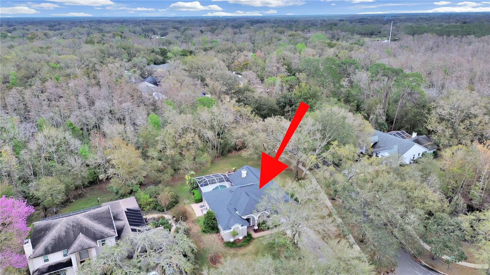 17307 OAK LEDGE DR — photo 49