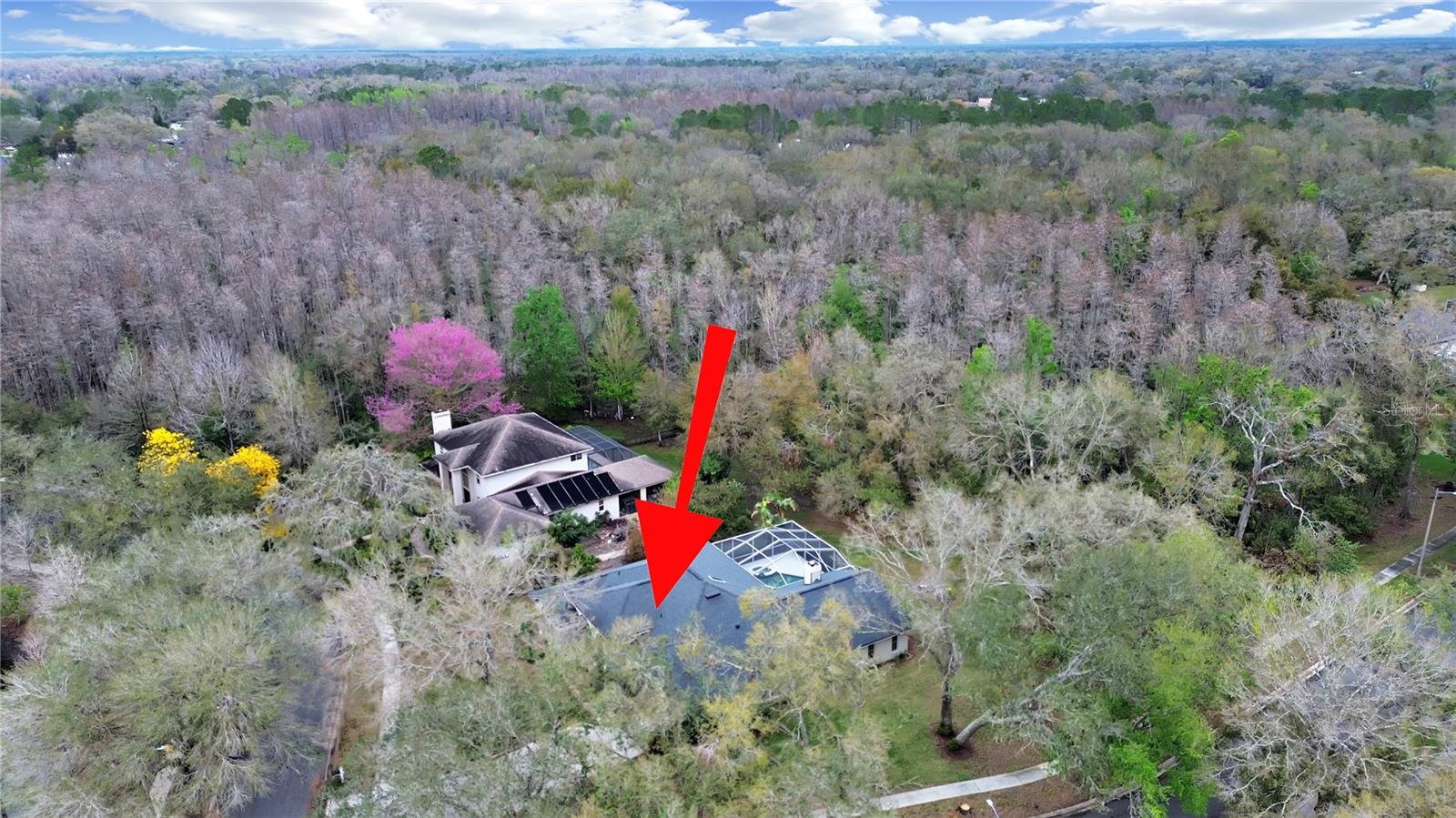 17307 OAK LEDGE DR — photo 48