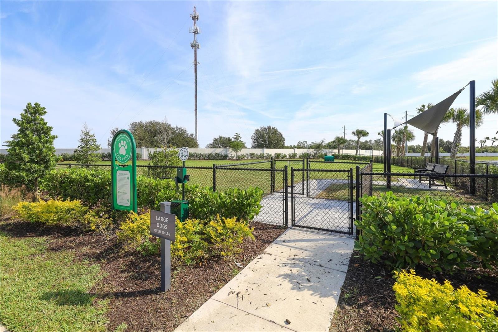 8195 REDONDA LOOP — photo 53