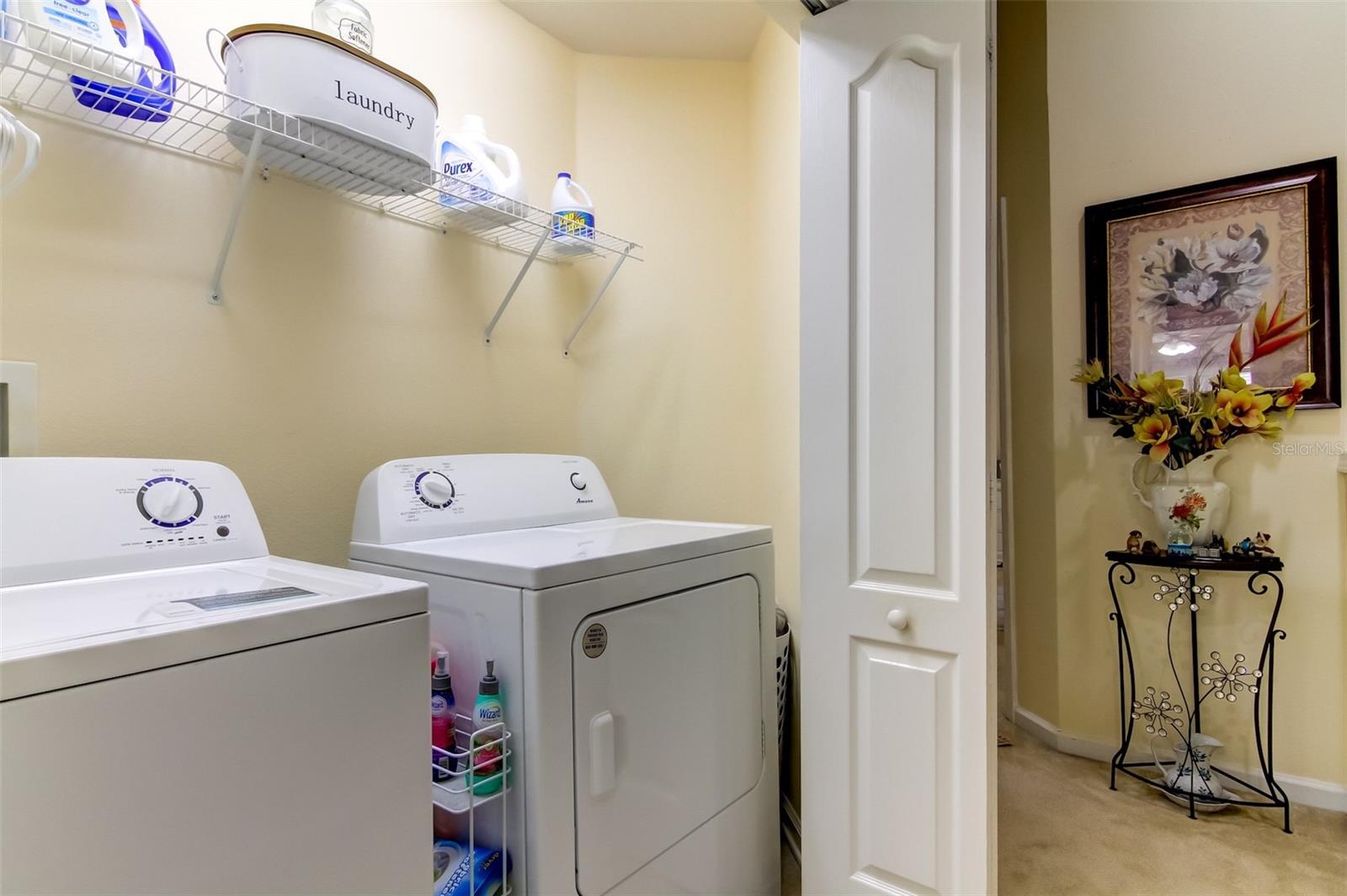 26642 CASTLEVIEW WAY — photo 36