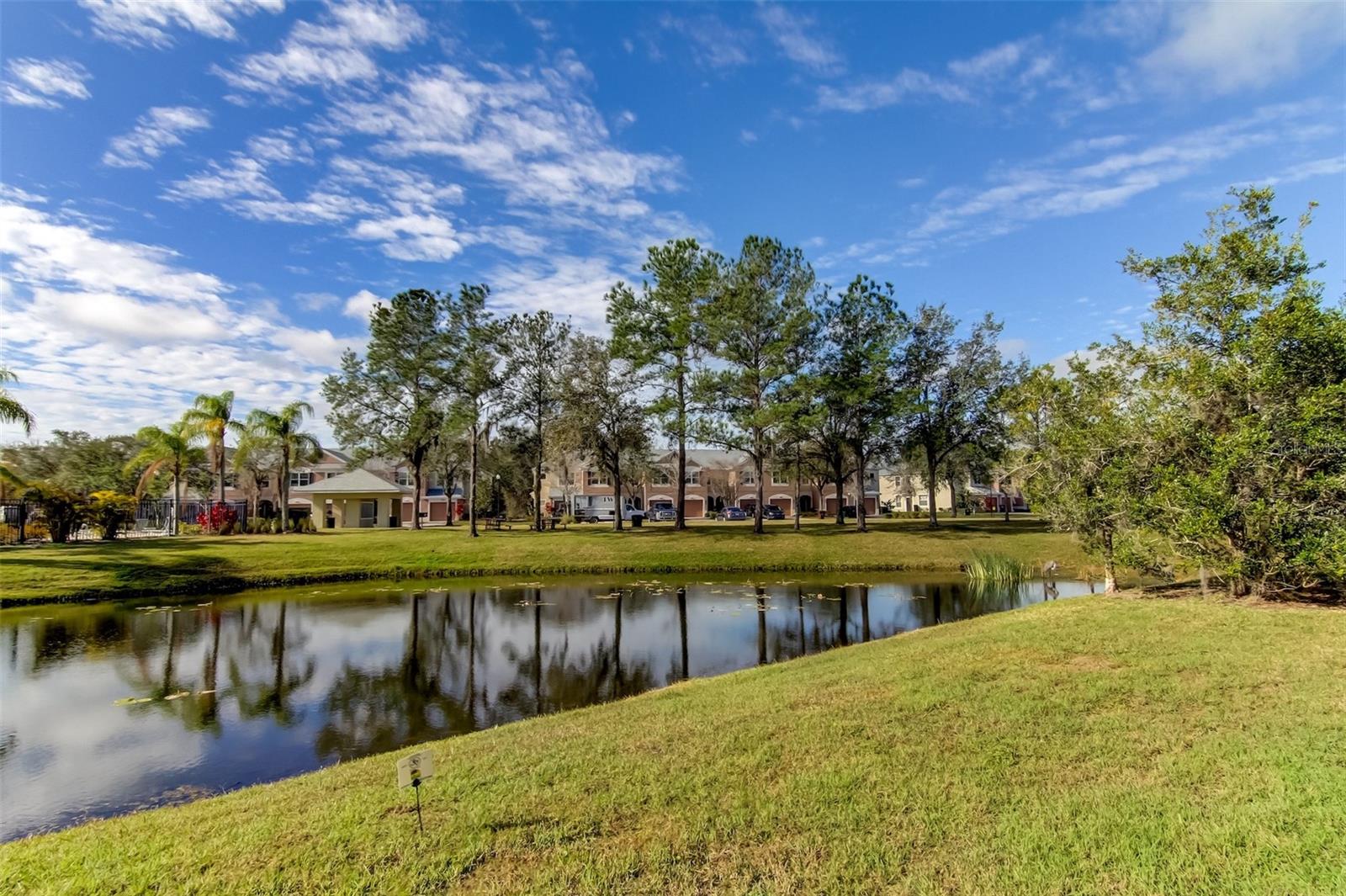 26642 CASTLEVIEW WAY — photo 46