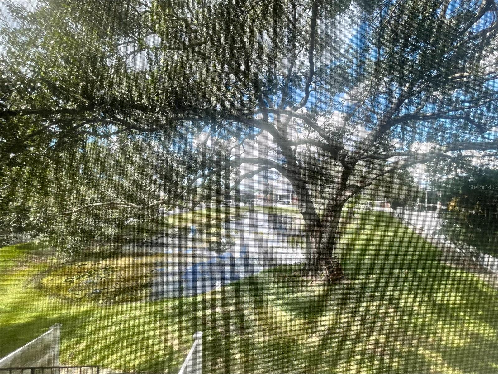 13831 ORANGE SUNSET DR #201 — photo 19