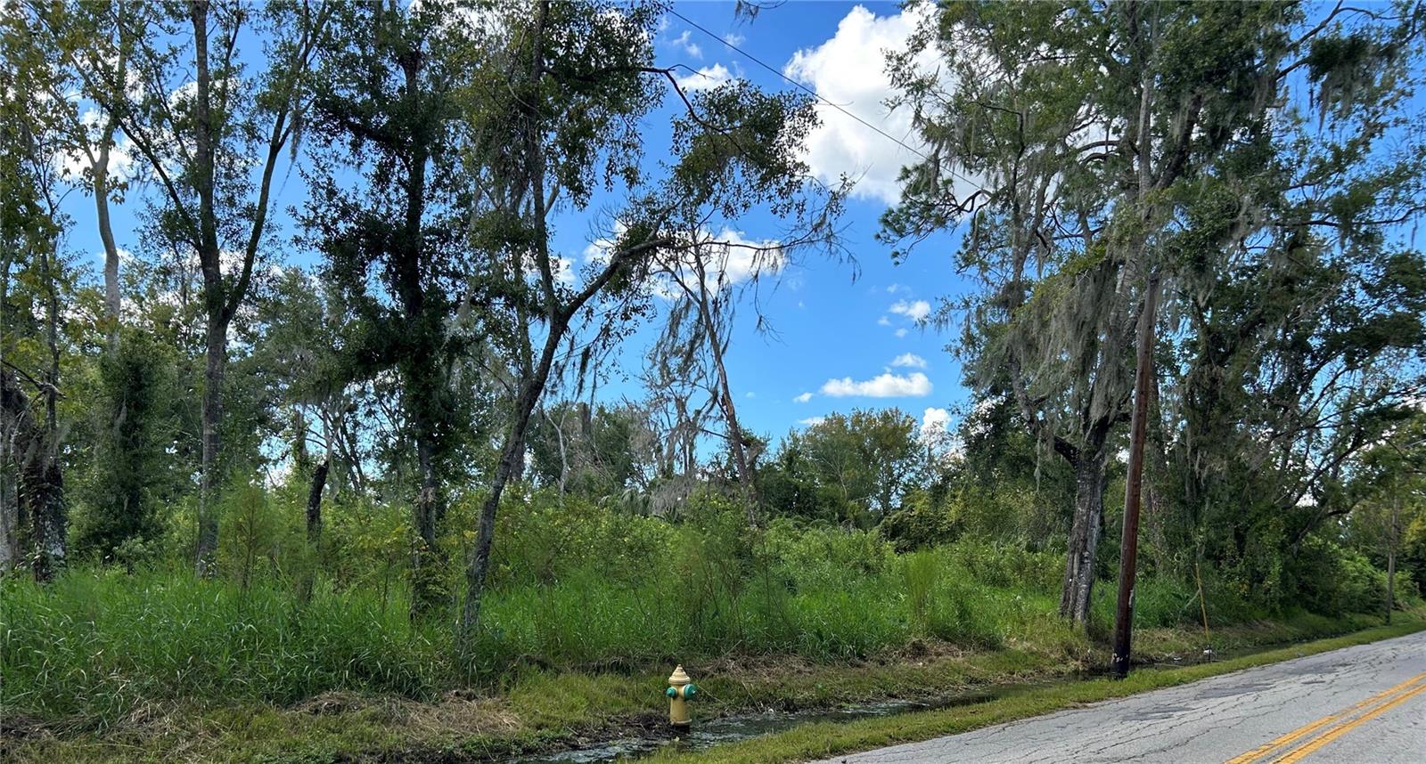 SEMINOLE LAKE BLVD & HICKMAN AVE — photo 2