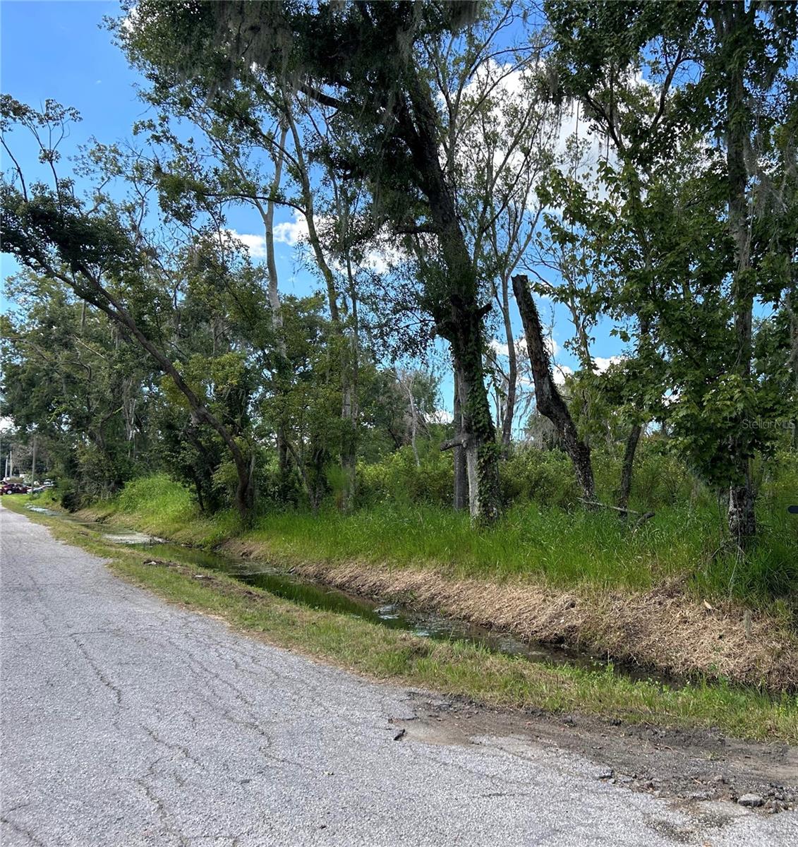 SEMINOLE LAKE BLVD & HICKMAN AVE — photo 4
