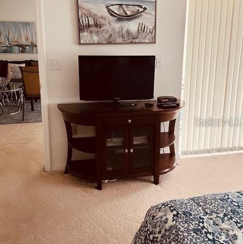 8735 OLDE HICKORY AVE #8302 — photo 10