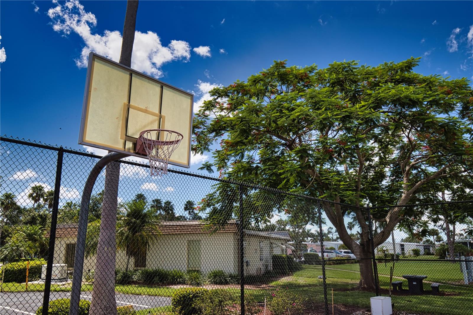 209 EL PRADO — photo 38