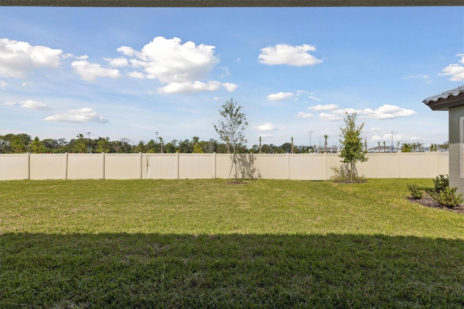 8517 DOVE BOG TER — photo 32