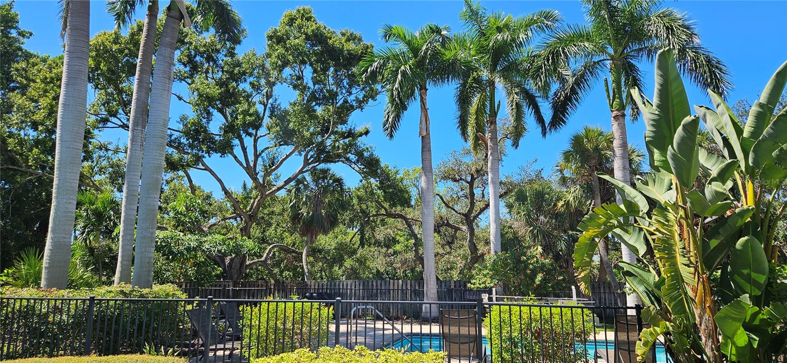 2232 BAHIA VISTA ST #A6 — photo 34