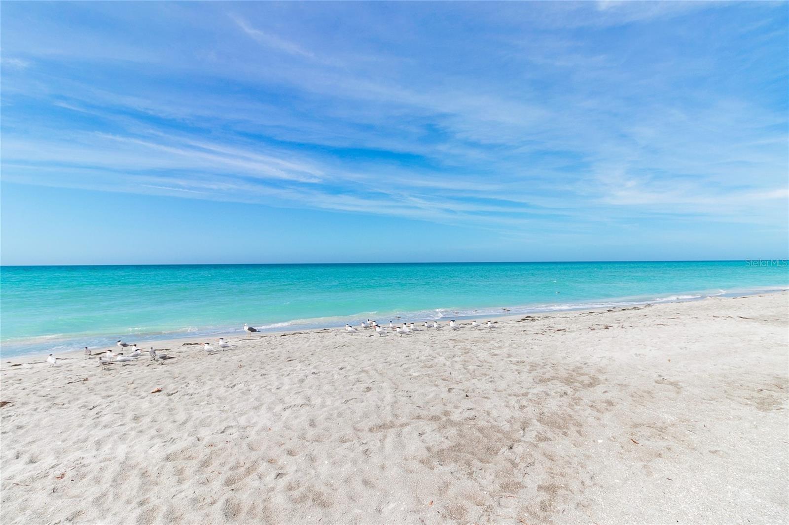 1065 GULF OF MEXICO DR #402 — photo 28
