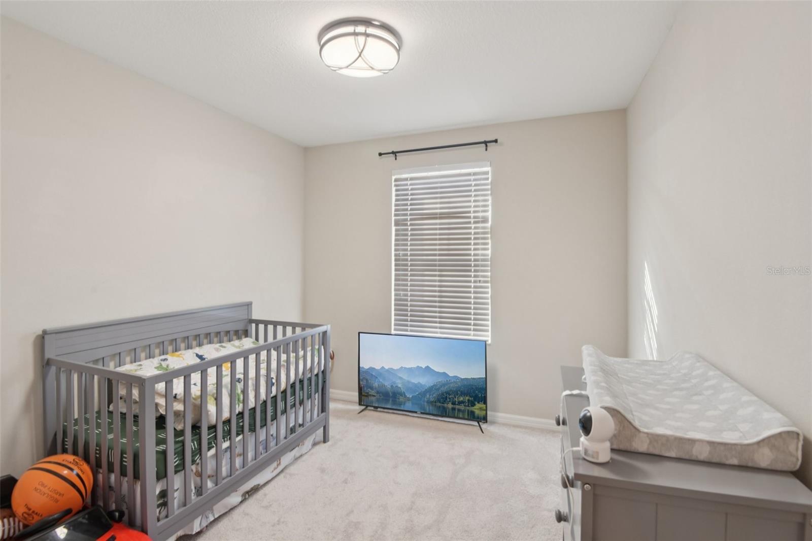 7046 TOWNE LAKE RD — photo 30