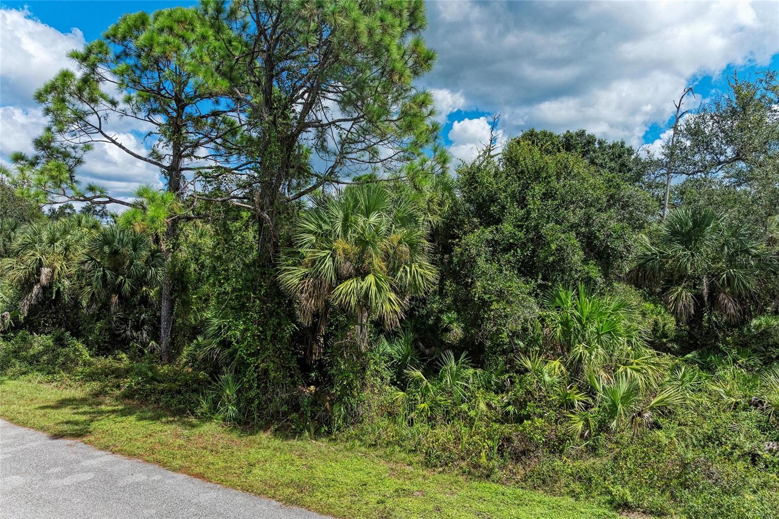 Lot 25 BILLINGHAM LN — photo 9