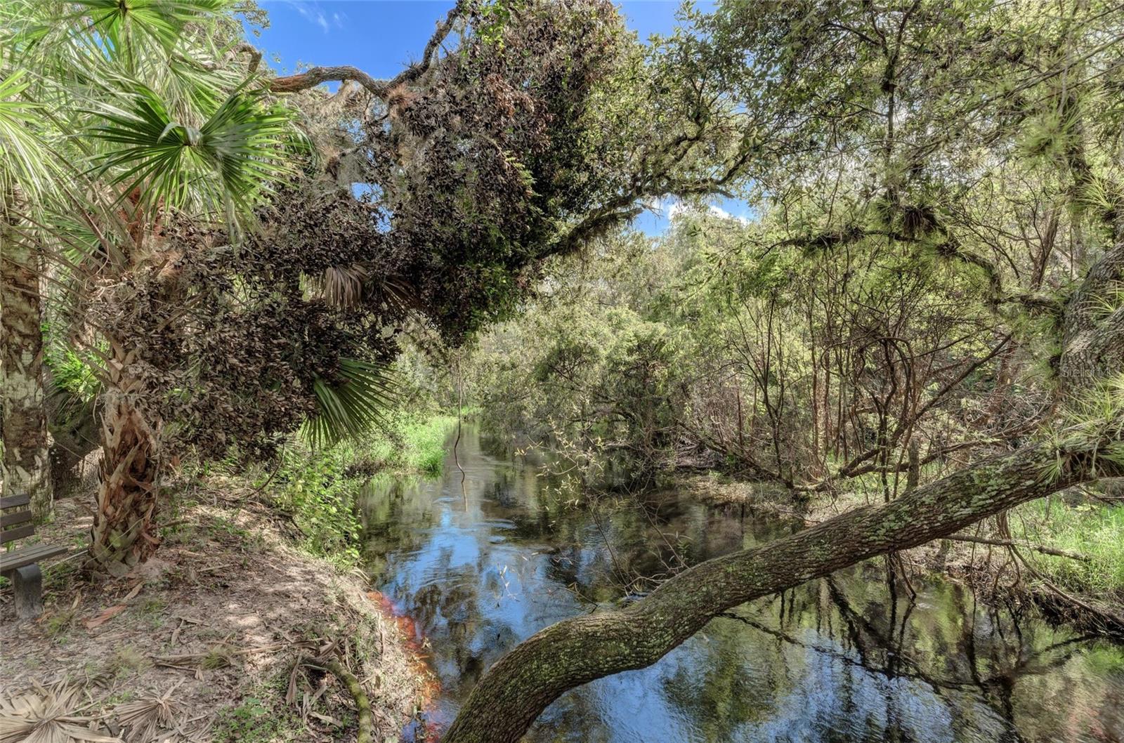Lot 25 BILLINGHAM LN — photo 46