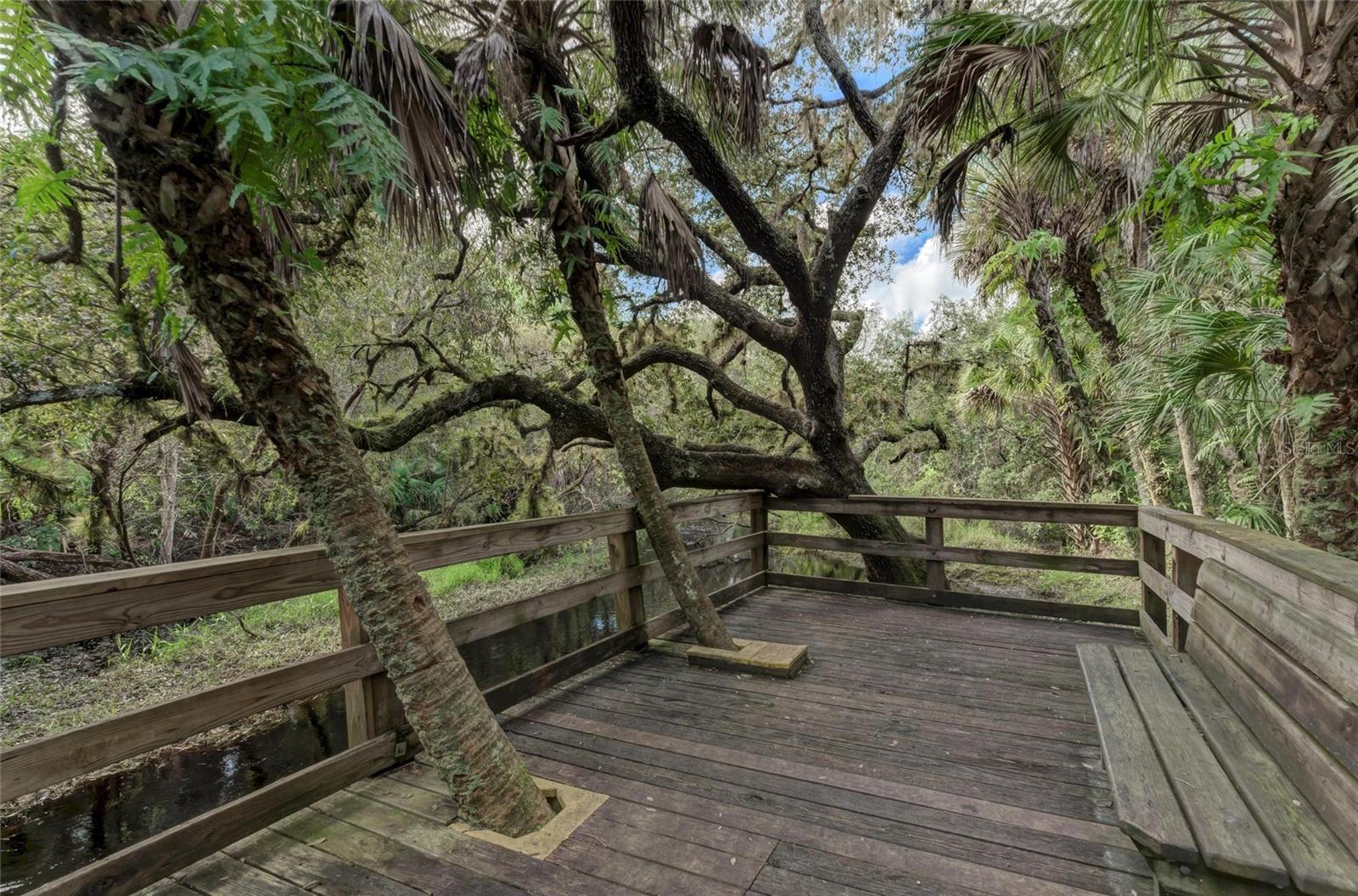Lot 25 BILLINGHAM LN — photo 40