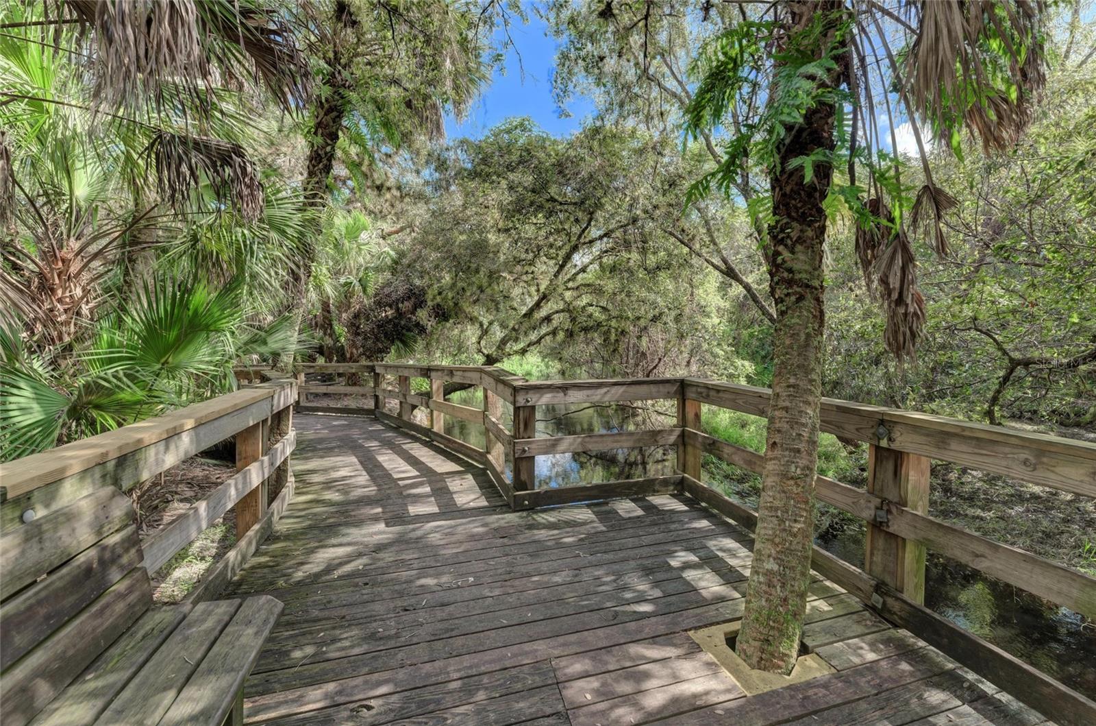 Lot 25 BILLINGHAM LN — photo 22