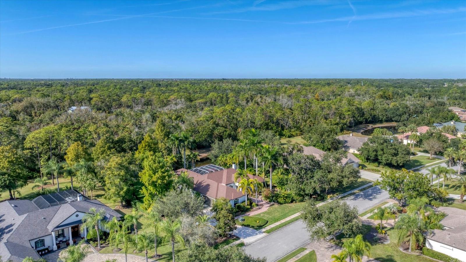 9979 CHERRY HILLS AVENUE CIR — photo 4
