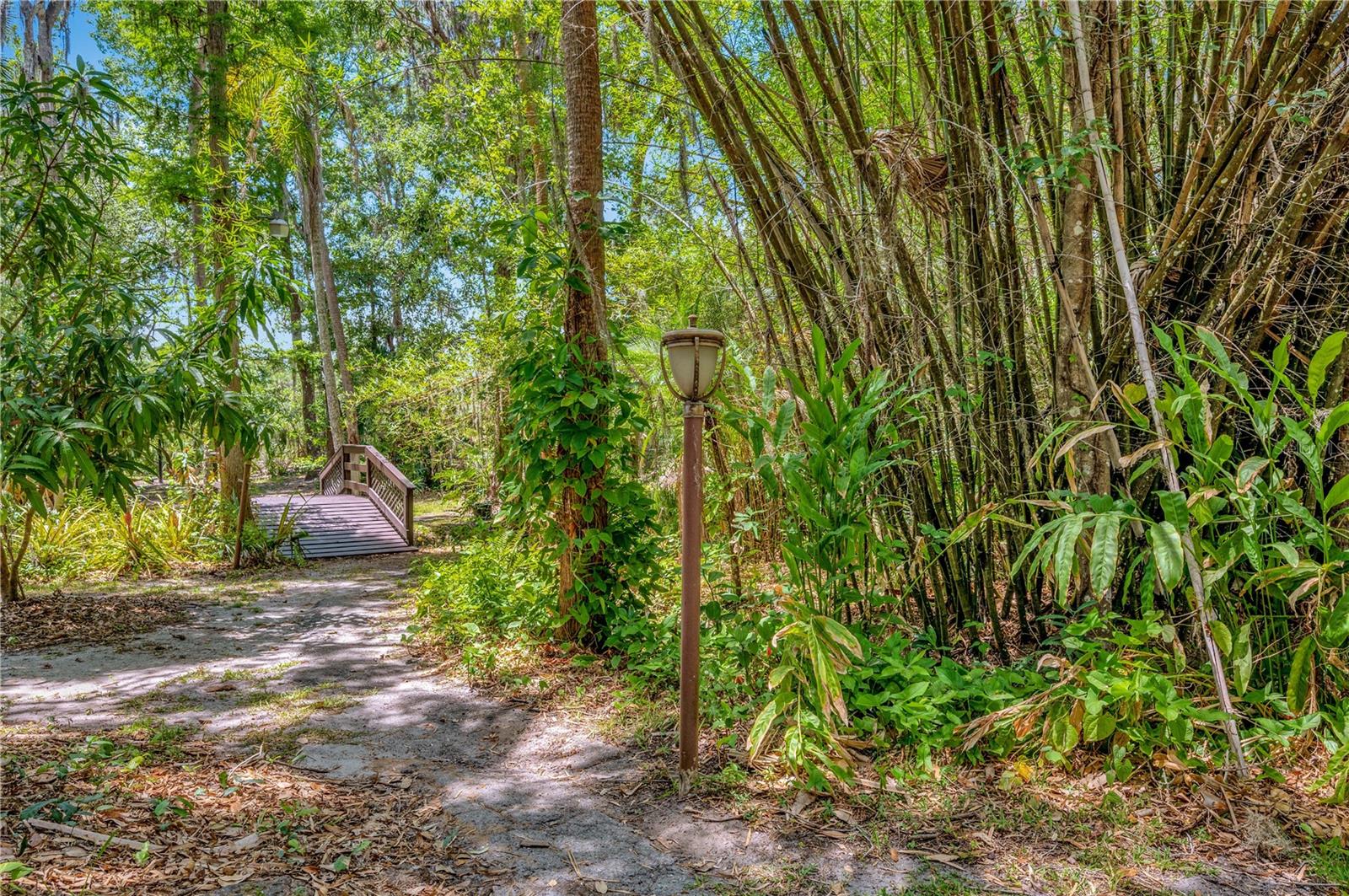 11526 RIVER COUNTRY DR — photo 44