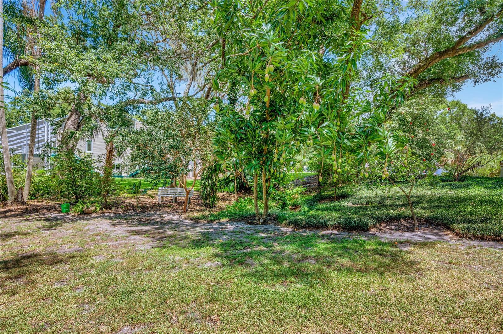 11526 RIVER COUNTRY DR — photo 43