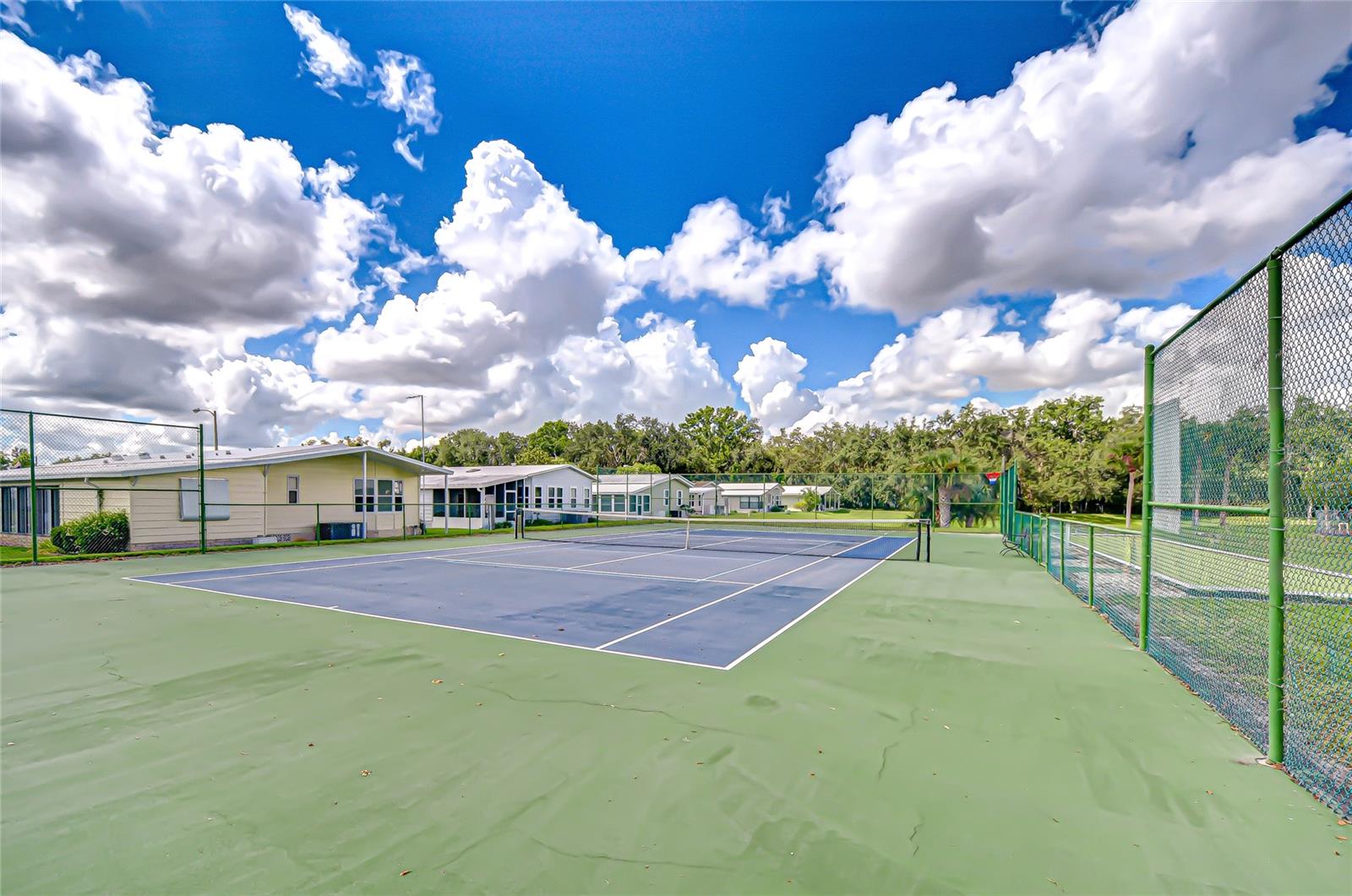 3922 WILLIAM HUME DR — photo 45