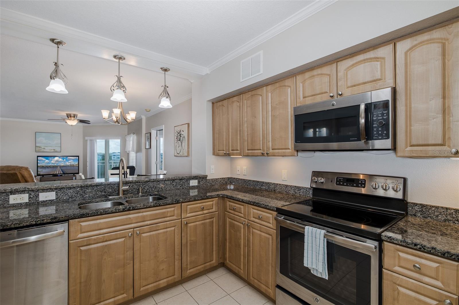 4516 SEAGULL DR #411 — photo 2