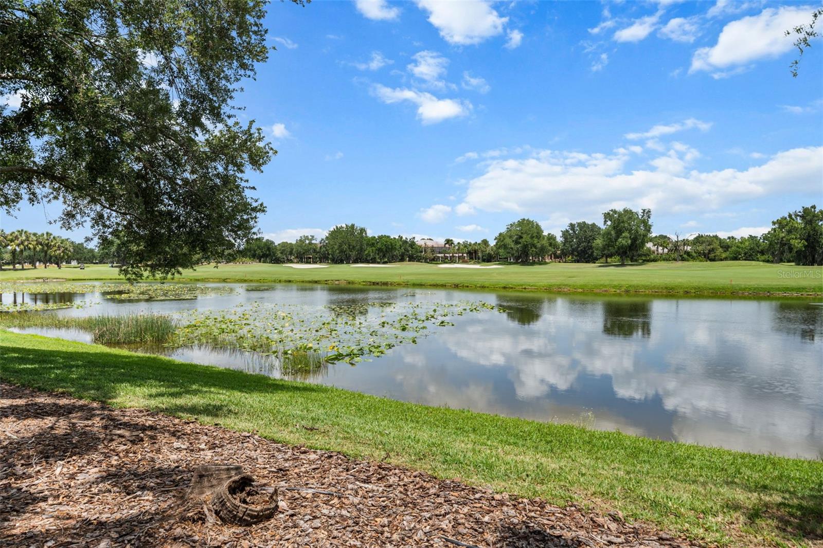 4085 FOUNDERS CLUB DR — photo 86