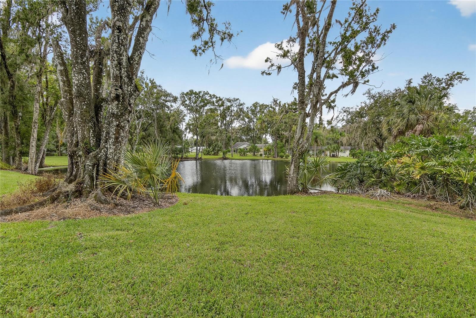 1502 AZALEA ST — photo 68