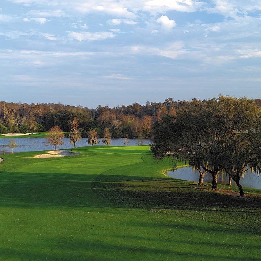 36750 US HIGHWAY 19 N #19213 — photo 61