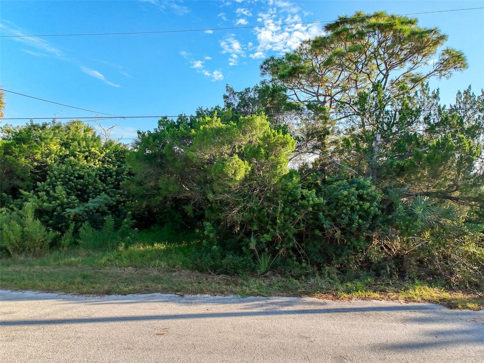lot 11 NOWIKI AVE — photo 11