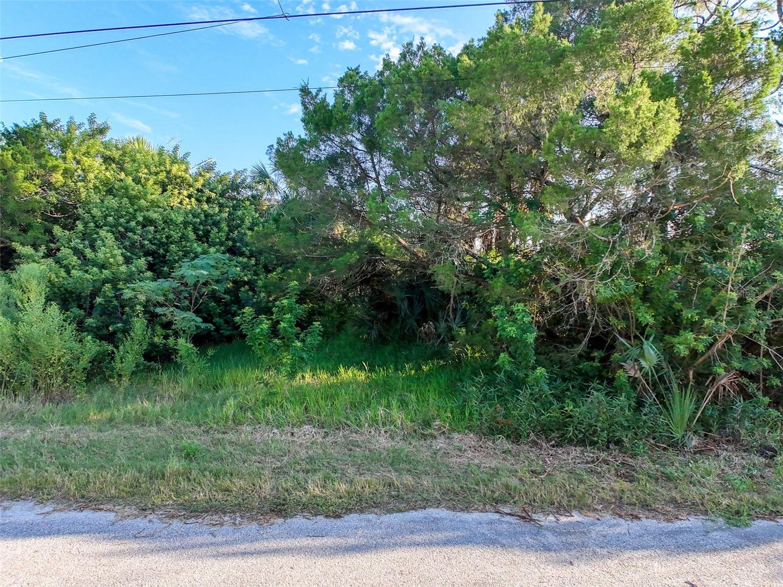lot 11 NOWIKI AVE — photo 12