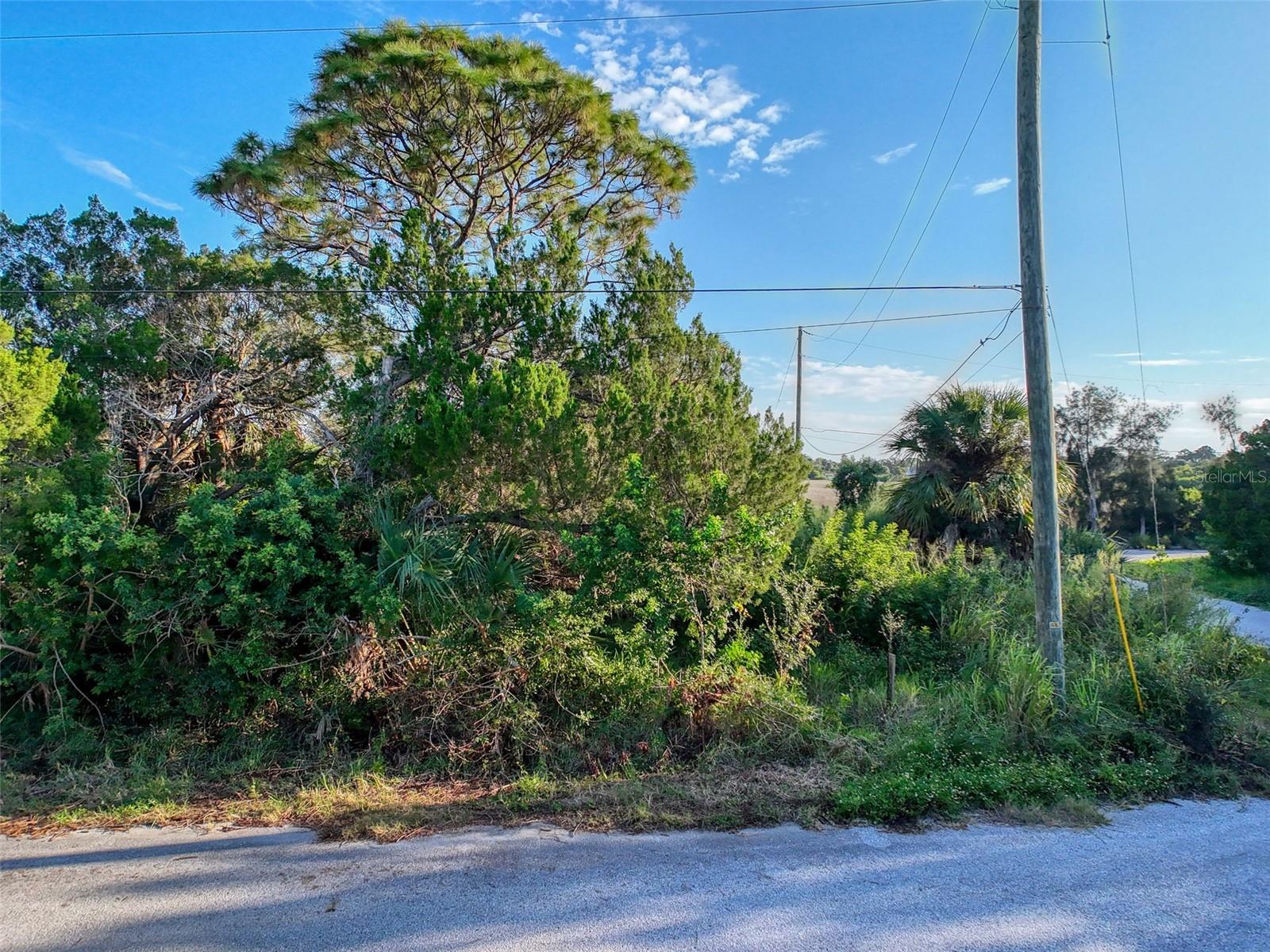 lot 12 NOWIKI AVE — photo 17