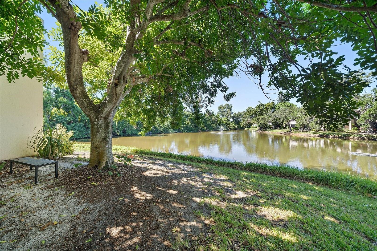 182 PINENEEDLE DR — photo 24