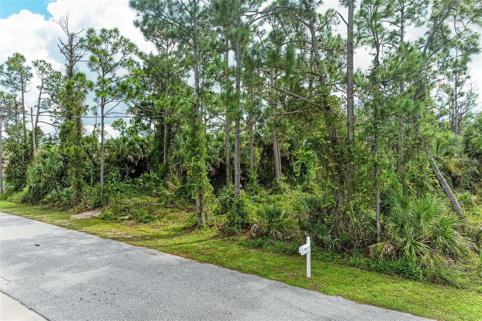 1139164804, 1139164805 FOXGLOVE AVE #Lot 4, lot 5 — photo 5