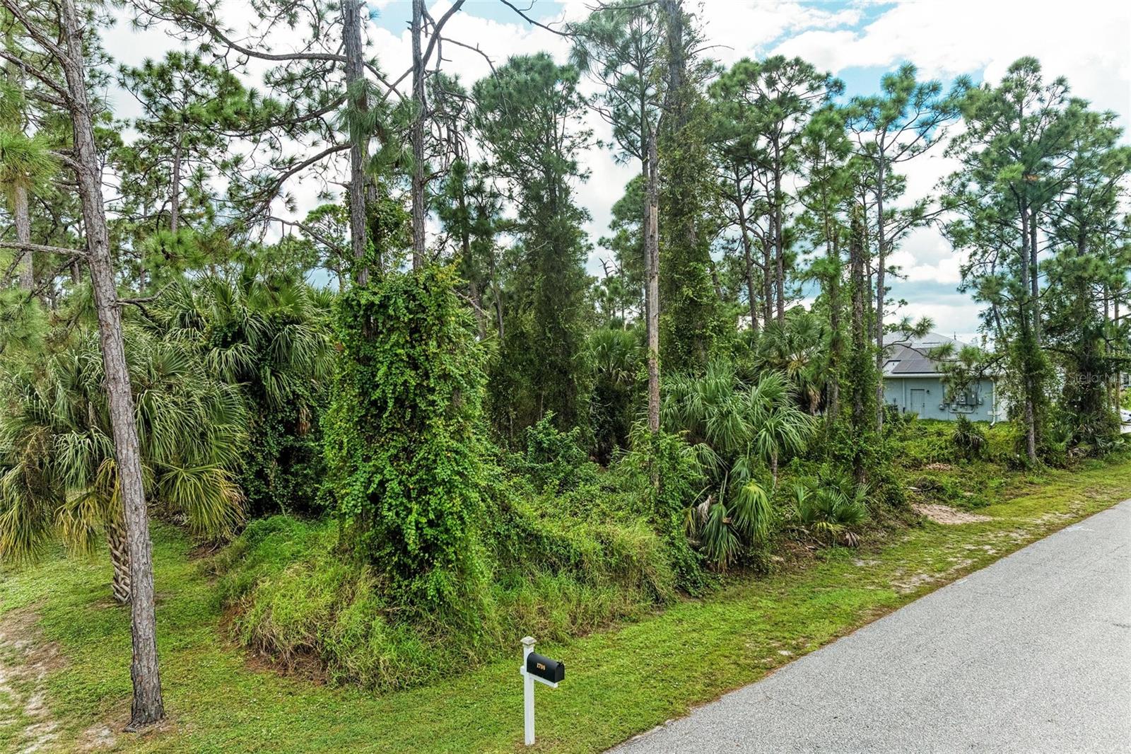 1139164804, 1139164805 FOXGLOVE AVE #Lot 4, lot 5 — photo 9