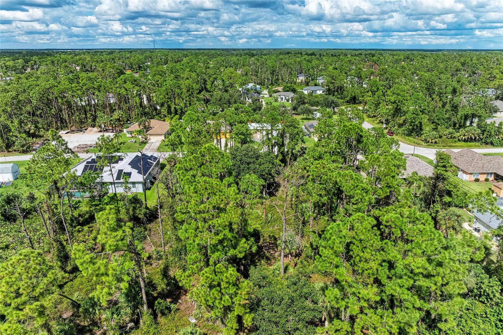 1139164804, 1139164805 FOXGLOVE AVE #Lot 4, lot 5 — photo 14
