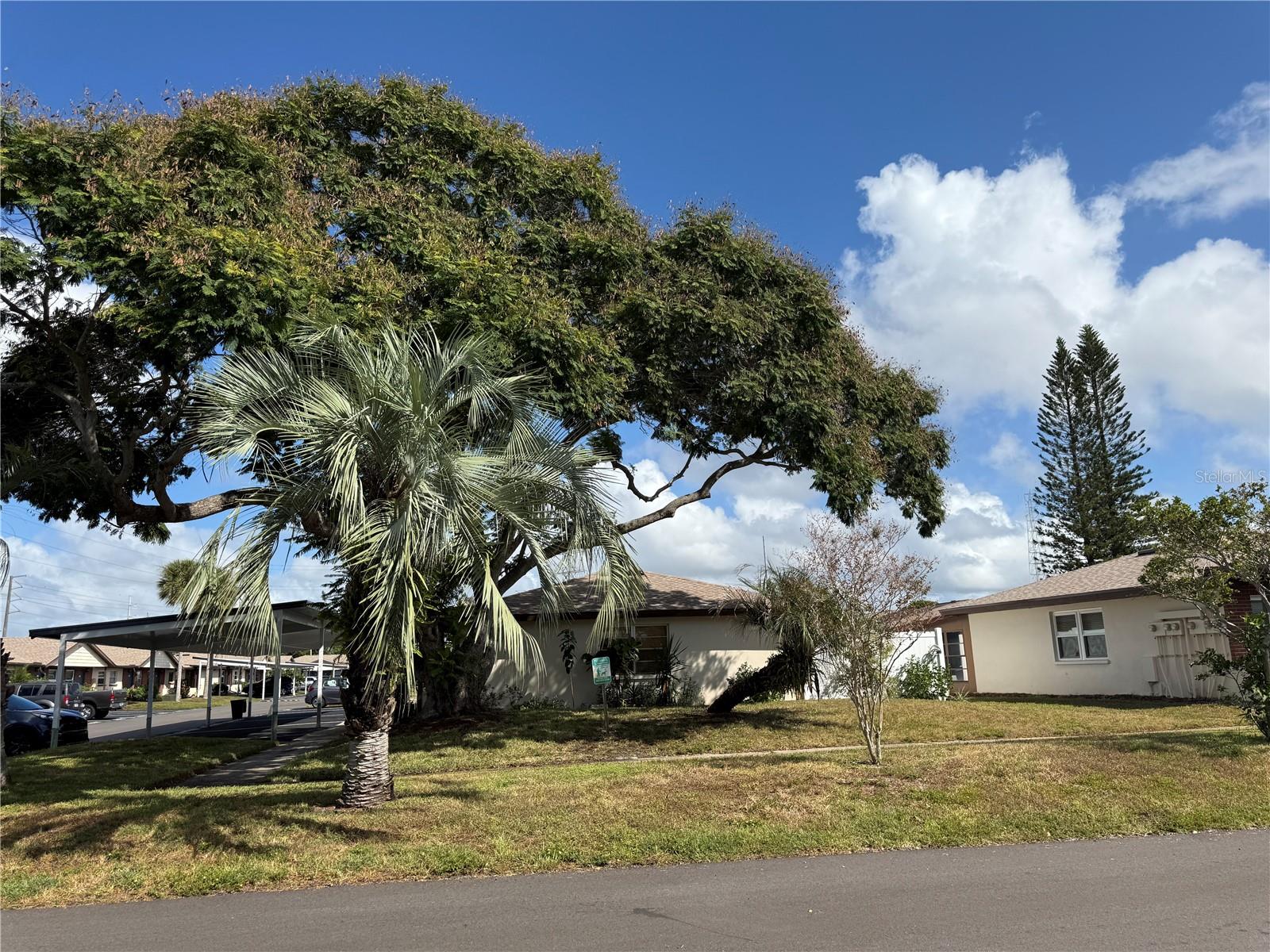 24862 US HIGHWAY 19 N #3002 — photo 4