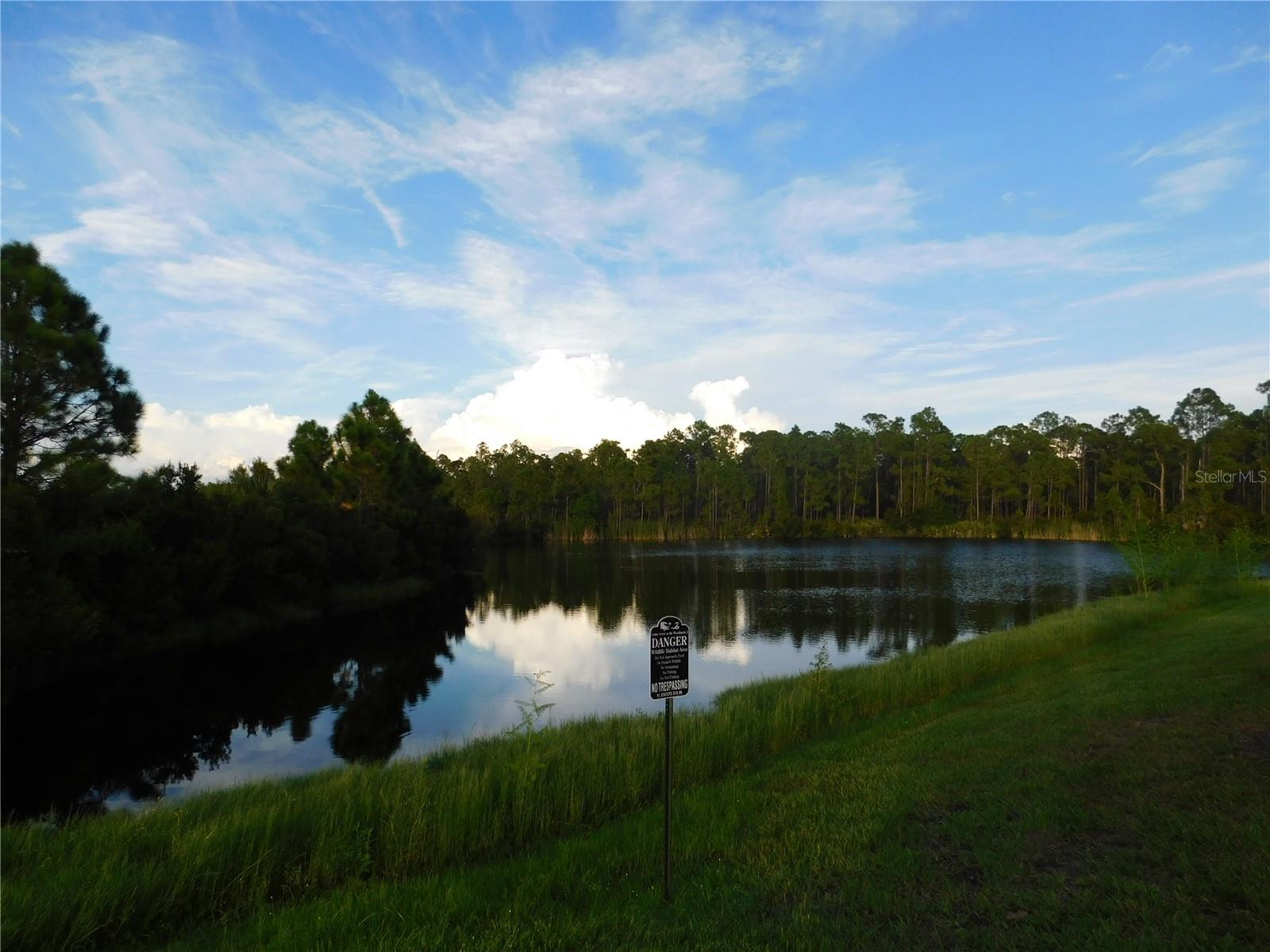 2507 HOBBLEBRUSH DR — photo 24