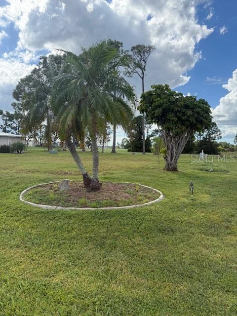 418 VIVAR — photo 2
