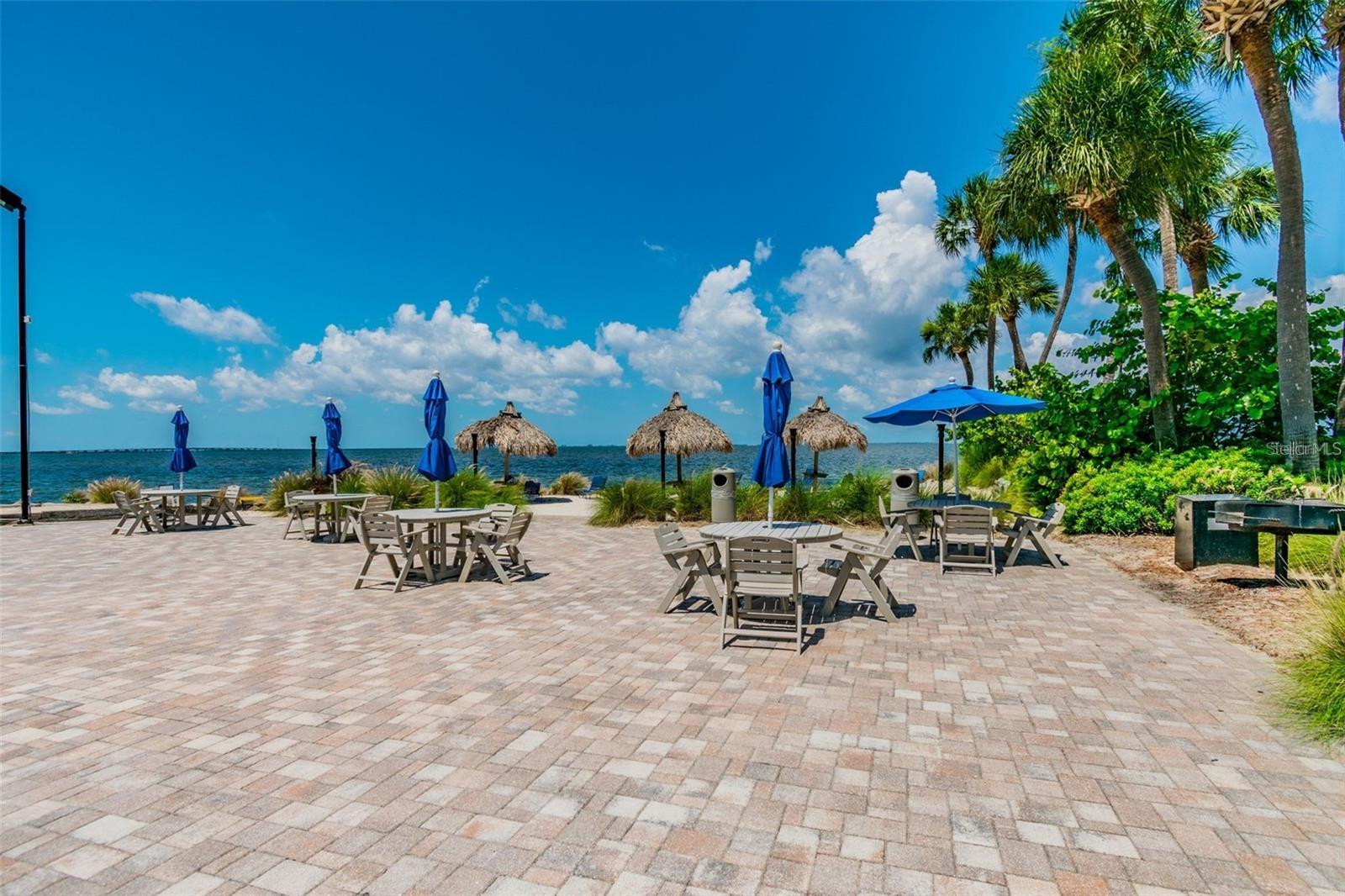 2506 N ROCKY POINT DR #237 — photo 26