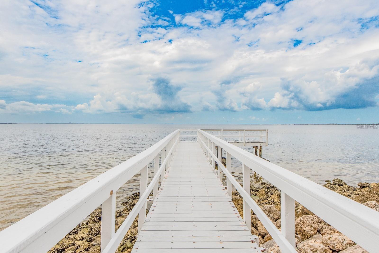 2506 N ROCKY POINT DR #237 — photo 18