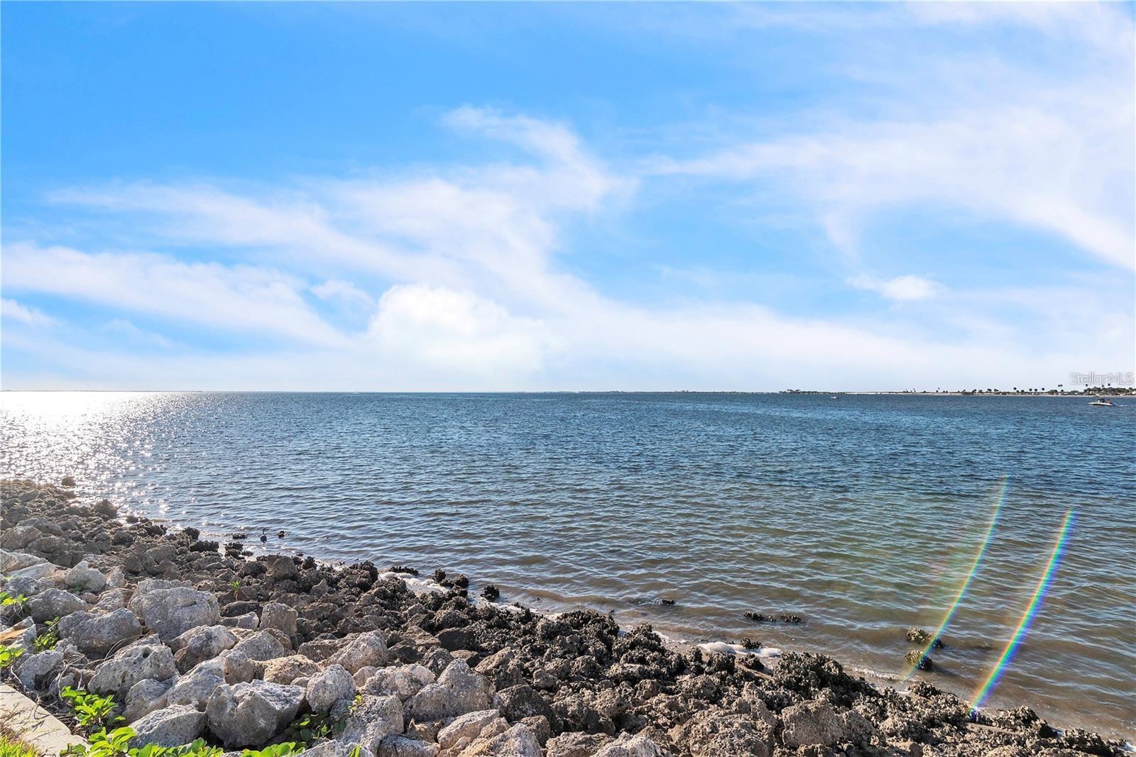 2506 N ROCKY POINT DR #237 — photo 23