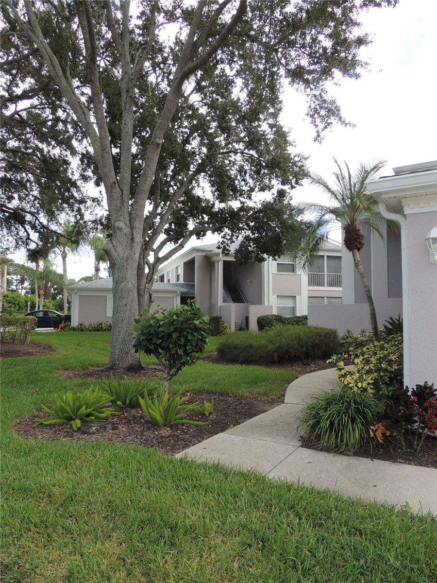 5667 SHEFFIELD GREENE CIR #59 — photo 28