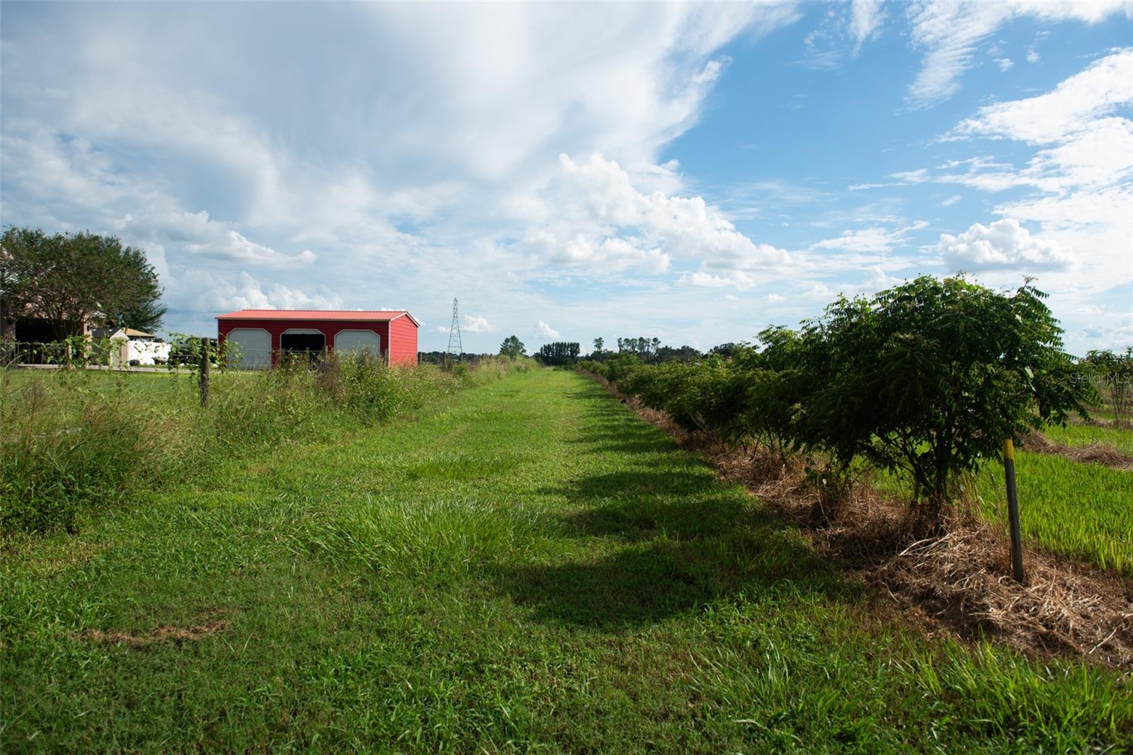 BLANTON ACRES RD — photo 22