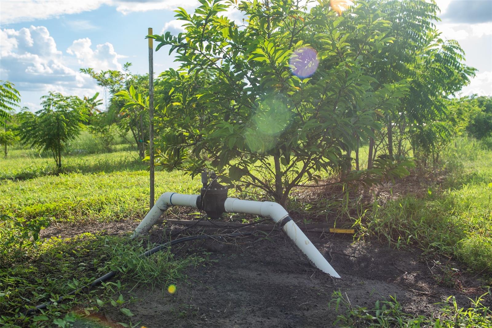 BLANTON ACRES RD — photo 8