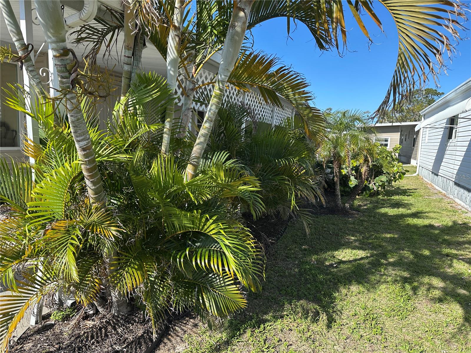 5800 FORSYTHIA RD — photo 17